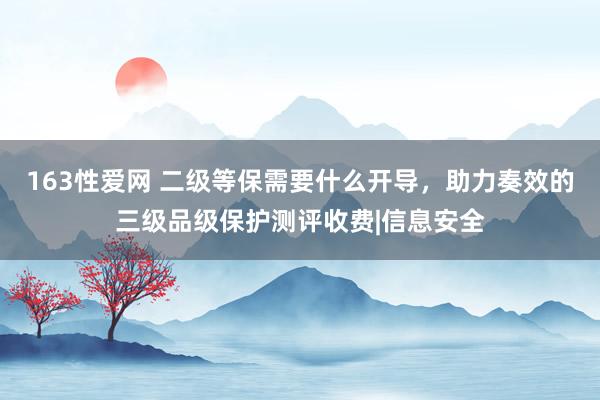 163性爱网 二级等保需要什么开导，助力奏效的三级品级保护测评收费|信息安全